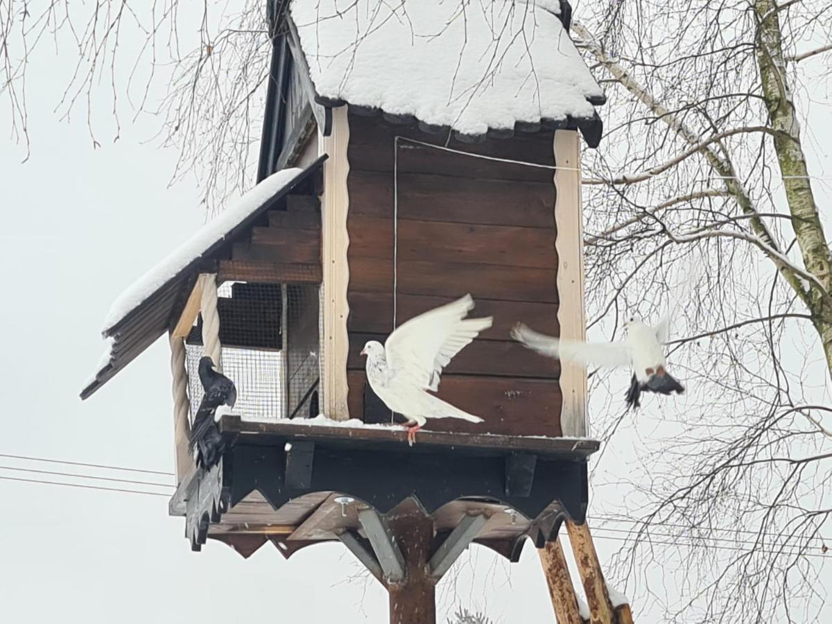 Вилла Casa Del Campo 1 Gasno Экстерьер фото